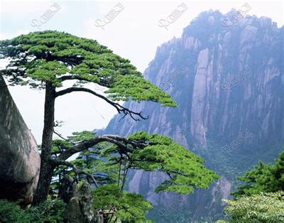 如何选择出行吉日?最实用择日指南