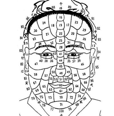 相术摸骨之骨骼篇